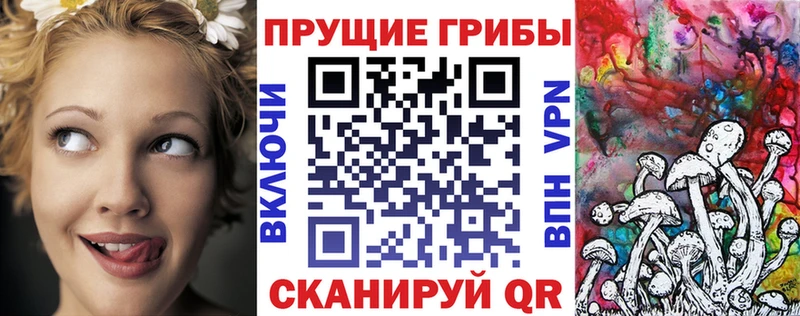 Псилоцибиновые грибы Psilocybine cubensis  Карачаевск 