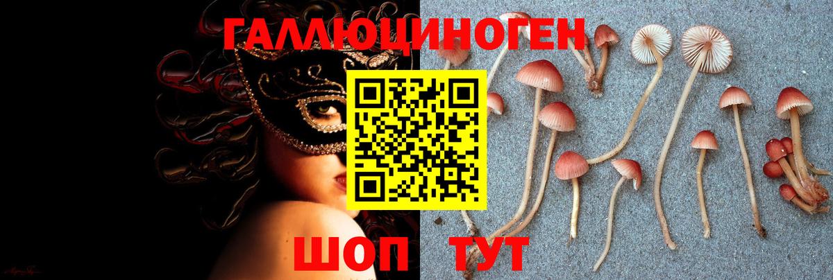 Галлюциногенные грибы MAGIC MUSHROOMS Карачаевск