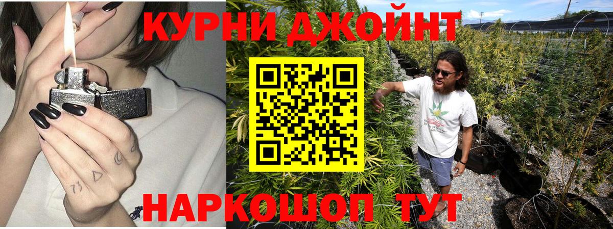 Шишки марихуана планчик Карачаевск